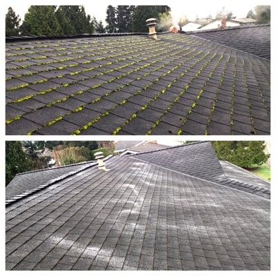 Woodinville - Gutter Cleaning & Moss Removal and Treatment