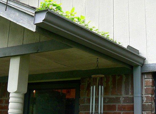 We offer Gutter cleaning services! Blowing off anything and everything in your gutter and roof!