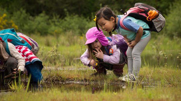 Nature connection for kids.