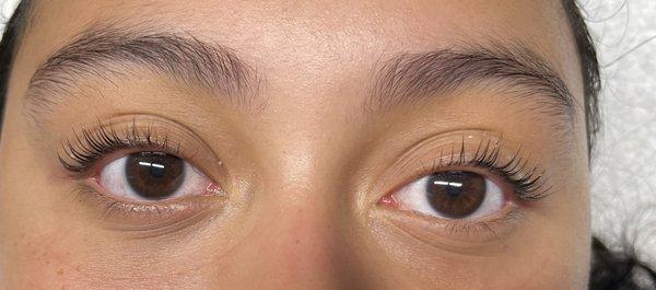 Lash lift