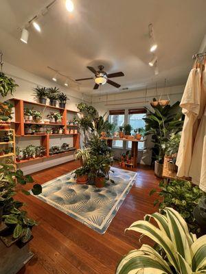 Oasis Plant Shop