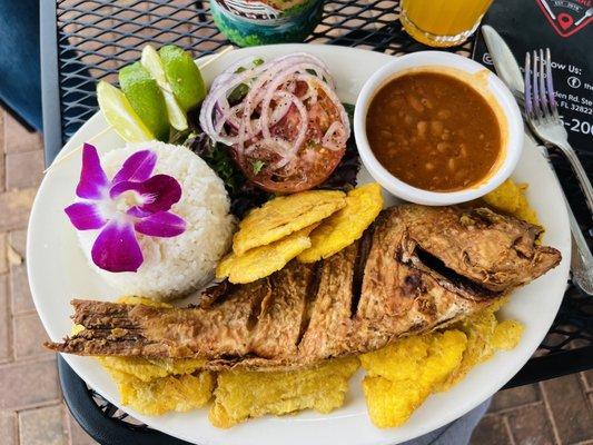 Pescado boca chica with tostones and rice and beans.