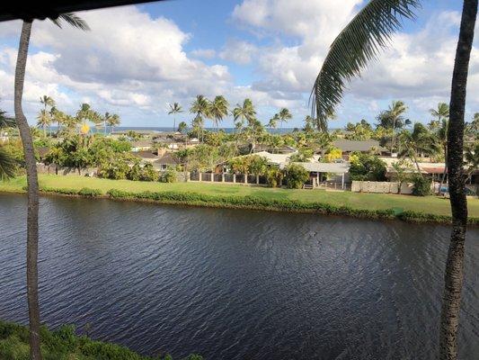 Amazing healing view from chiropractic rooms.