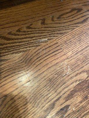 Hardwood Floor Damage