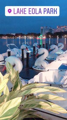 City beautiful aka central Fl, lake Eola