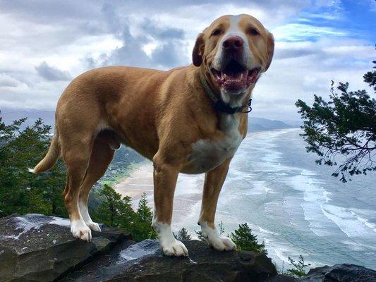 Stanley, My buddy! -Manzanita, OR