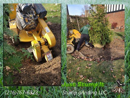 How much does it cost to remove a tree, grind the stump and replant?
 This service will cost $350-3000.