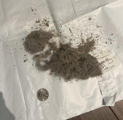 Single pass over the rug with a vacuum returned lots of hair and dirt (2/2)