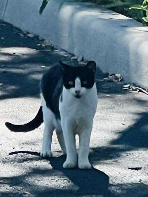 Flagler Grove Park resident and soccer enthusiast.