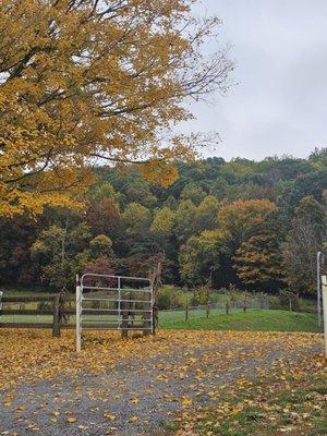 Fall in East Tennessee. Does it get better than this?