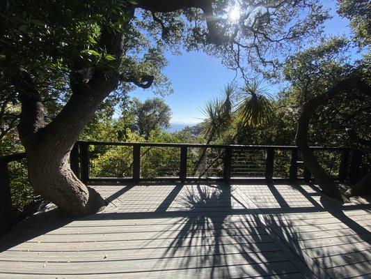 Outdoor Carpentry / Decking. Incorporating existing trees to maintain natural appeal.