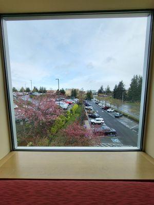 View of the parking lot from window chair