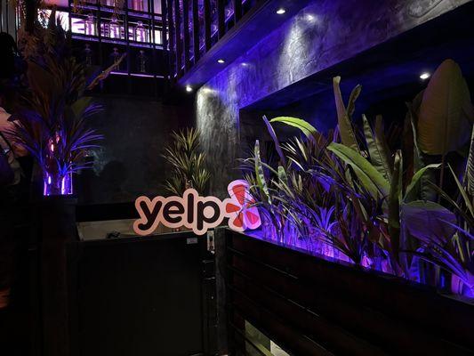 Yelp signage and greenery