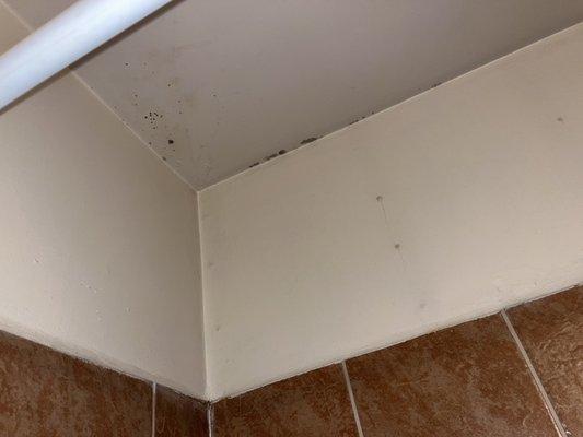 Black mold