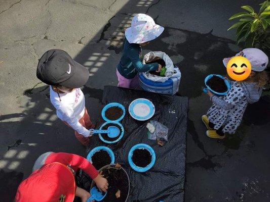 Solecito Daycare