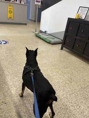 Socially distanced in waiting area