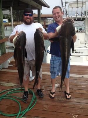 Cobia season is always a blast for everyone!