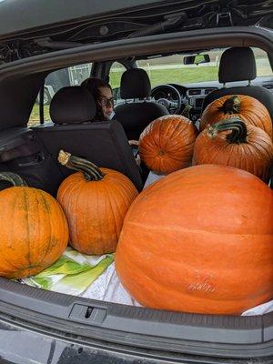 There's a 93 lb. pumpkin in our trunk!