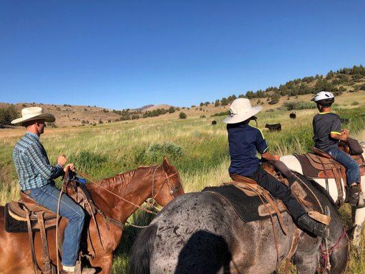 Riding in cattle field