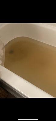 Toilet water in tub