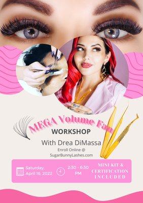 Mega Volume lash extension training class workshop