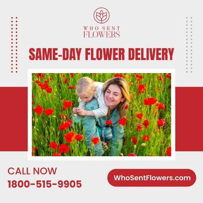 Same Day Flower Delivery
Call Now 
1800-515-9905 
WhoSentFlowers.com