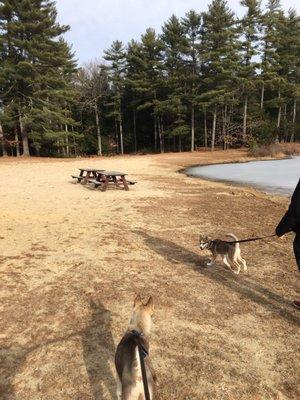 Beach in winter. Dog friendly, but in summer no dogs on beach.