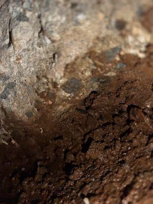 Water and mud seeping up from under the basement floor.