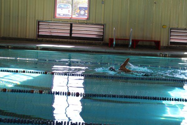 Lap Swimming in The Fontana Center Pool