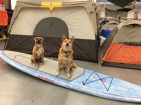 Summer is here, and that means time to get out the camping and watersports gear! We have the best helpers... :)