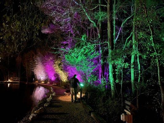 Lights along the path around the pond