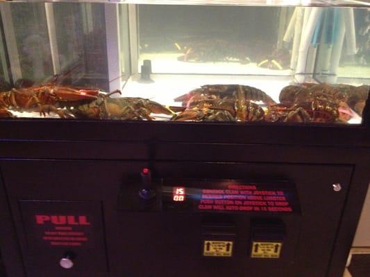 Lobster claw machine. Catch a lobster for $3 and they cook it for free.