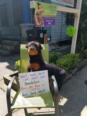 Front entrance markers on Magazine St. We are in the courtyard behind Preservation Title. This is Freddy, our store mascot!