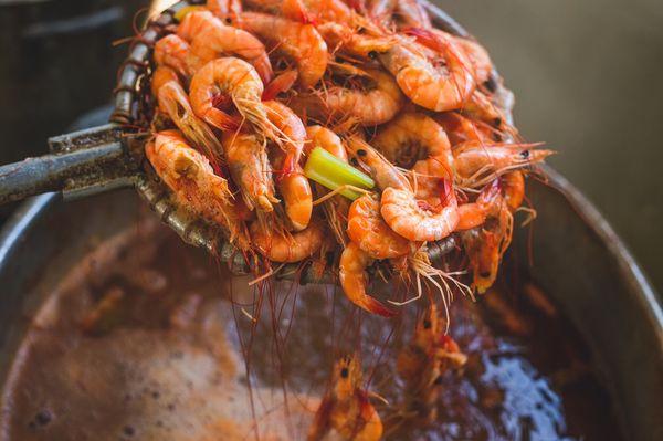 Hot Boiled Shrimp!