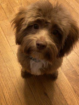 Best first haircut