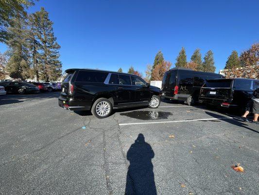 All Cities Limo added their latest Escalade ESV to their fleet !