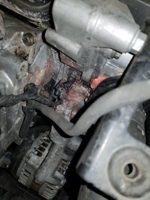 Look what we found a coolant leak. remember if you start smelling something sweet it might be a coolant leak