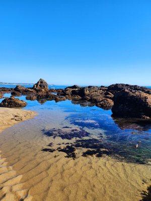 Tide pools at Avalon.