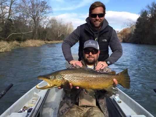 Big South Holston Brown trout December 2017