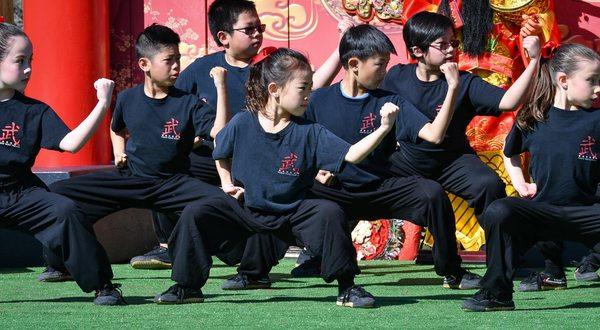 Phoenix Wushu Academy