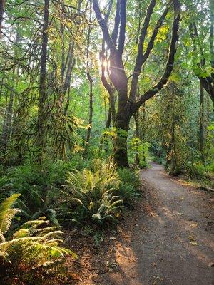 400+ acres of beautiful trails!