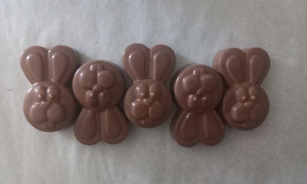 Milk chocolate Bunny better than See's!