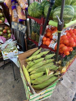 Tropical Fruit