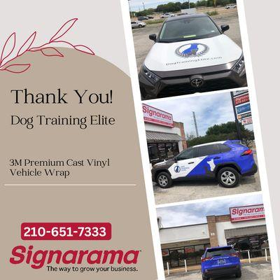 full Vehicle Wrap