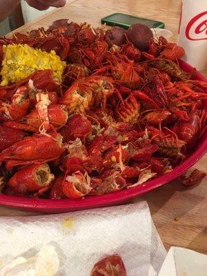 Crawfish