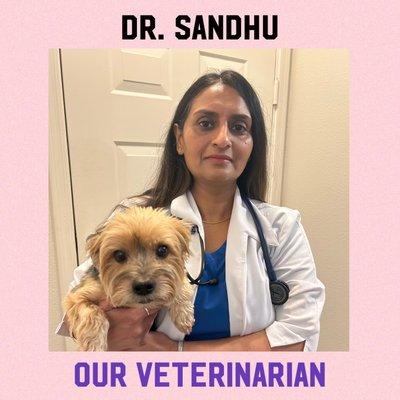 Dr. Sandhu our relief veterinarian