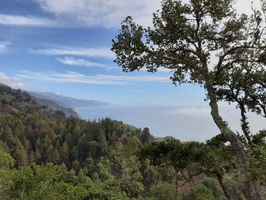 View from a restaurant in Big Sur