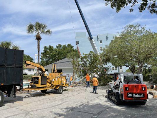 Arbor Bay Tree Service