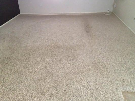 This was one of the jobs we did recently. The carpet might not look to dirty but you can see the high traffic area..