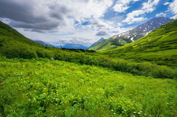 This has got to be the most underrated trail in Anchorage!